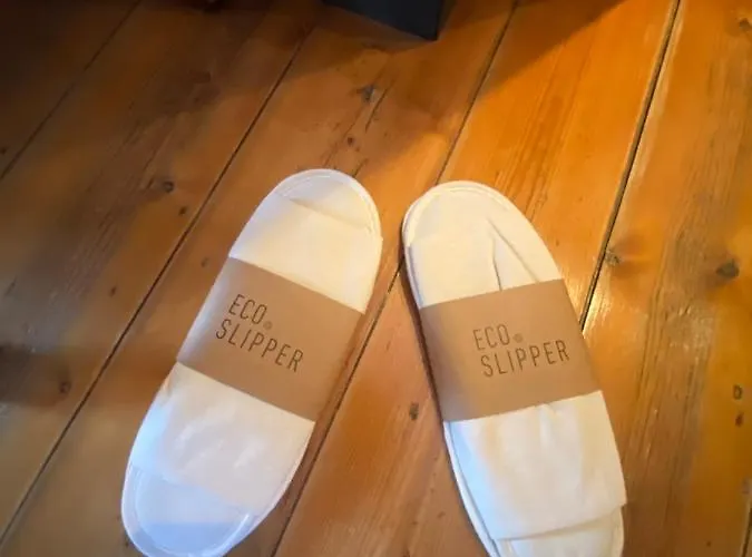 Nocleg ze śniadaniem Artist's Loft & Garden Gandawa