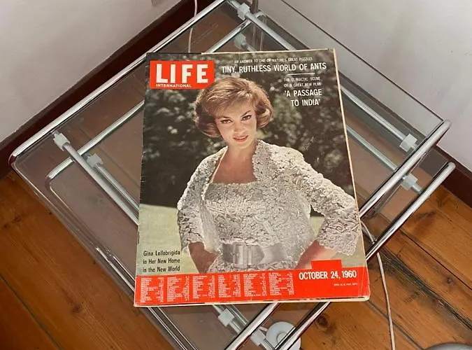 Artist's Loft & Garden Ghent